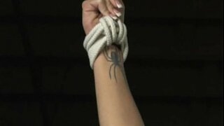 Гармония - Машыктыруу шлюхи - Полнометражный фильм